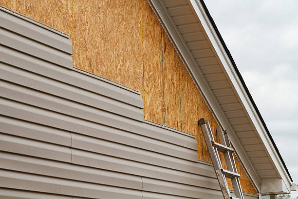 Professional Siding Repair technician working in Lewisburg, TN